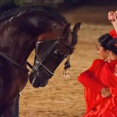 شقة Grupo Limcotel Perla 1