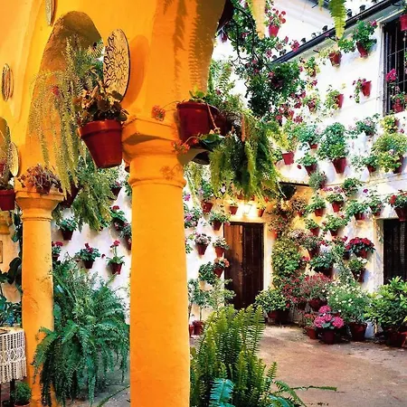 Grupo Limcotel Perla 1 قرطبة