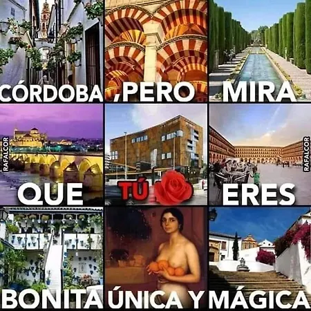 Grupo Limcotel Perla 1