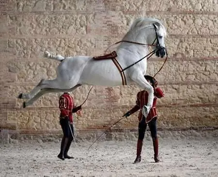 Apartamento Grupo Limcotel Perla 1 Córdoba