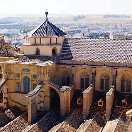 Grupo Limcotel Perla 1 Córdoba