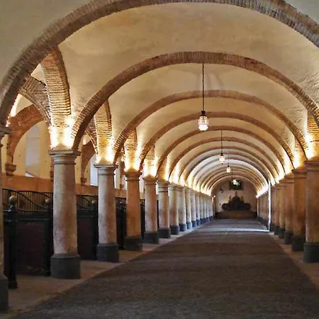 Grupo Limcotel Perla 1 *