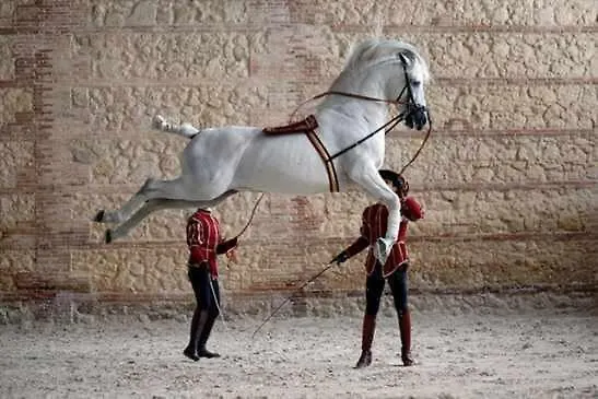 Apartamento Grupo Limcotel Perla 1 Córdova