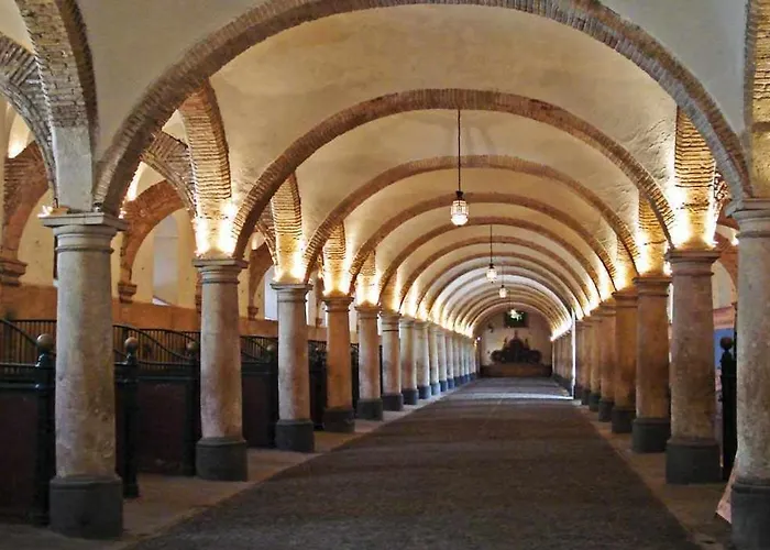 Grupo Limcotel Perla 1 *