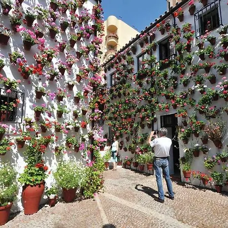 Grupo Limcotel Perla 1 アパート *